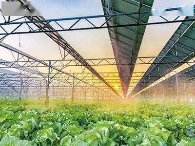 現(xiàn)代種業(yè)、鄉(xiāng)村新型服務(wù)業(yè)&hellip;國家鄉(xiāng)村振興局鼓勵社會資本投資這些涉農(nóng)產(chǎn)業(yè)!