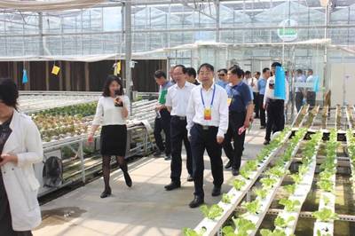 市人大常委會副主任法建強(qiáng)一行視察河南鄭州國家農(nóng)業(yè)科技園區(qū)核心區(qū)建設(shè)工作