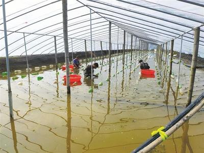 水產(chǎn)科技服務(wù)送到田間地頭