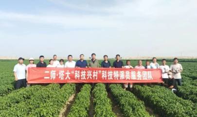 【本地動態(tài)】塔里木大學(xué)科技特派員團(tuán)隊(duì)來和碩縣開展科技服務(wù)