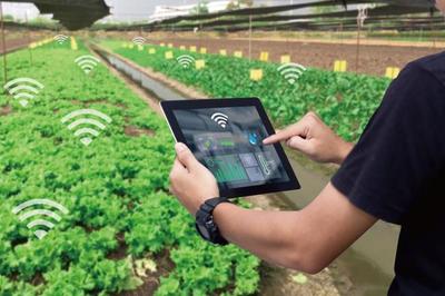 麥麥科技獲數千萬元天使輪融資 發(fā)展ToB端智慧農業(yè)科技服務平臺