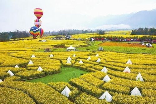 政策 國家發(fā)力農業(yè)服務創(chuàng)新 溫氏 樓房養(yǎng)豬仍處于試驗階段