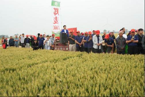 優(yōu)特產業(yè)支撐計劃優(yōu)質小麥專項在滑縣召開觀摩會 鄭麥1860樹立 種糧一體化 新標桿