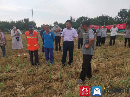 山東濱州國家農(nóng)業(yè)科技園區(qū) 以農(nóng)業(yè)科技賦能文明建設(shè)