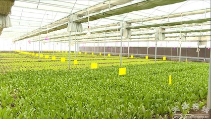 【我們這十年】科技創(chuàng)新助力秦州經(jīng)濟(jì)高質(zhì)量發(fā)展(圖)