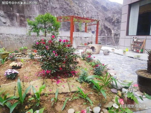 鄉(xiāng)土氣息與現(xiàn)代科技共融 美麗鄉(xiāng)村建設(shè)下的美麗庭院與農(nóng)業(yè)科技服務(wù)